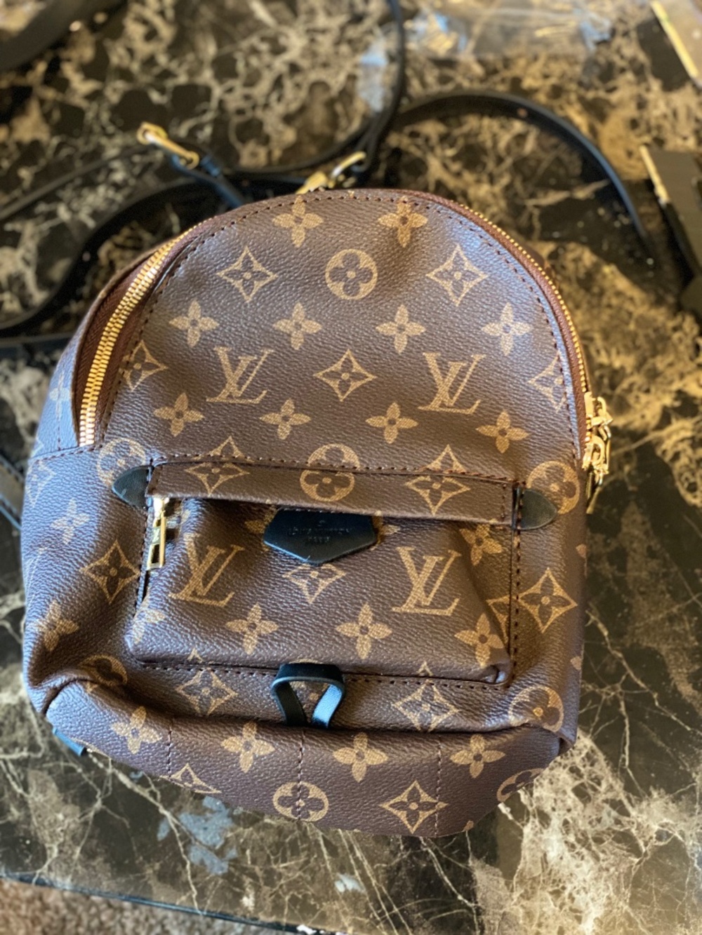 Mini Monogram Backpack Crossbody Bag (Brown/Black) Worn Once